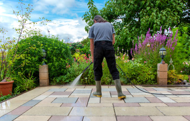 Best Winterizing Services  in Grosse Pointe, MI