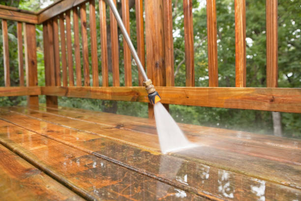 Best Roof Washing  in Grosse Pointe, MI